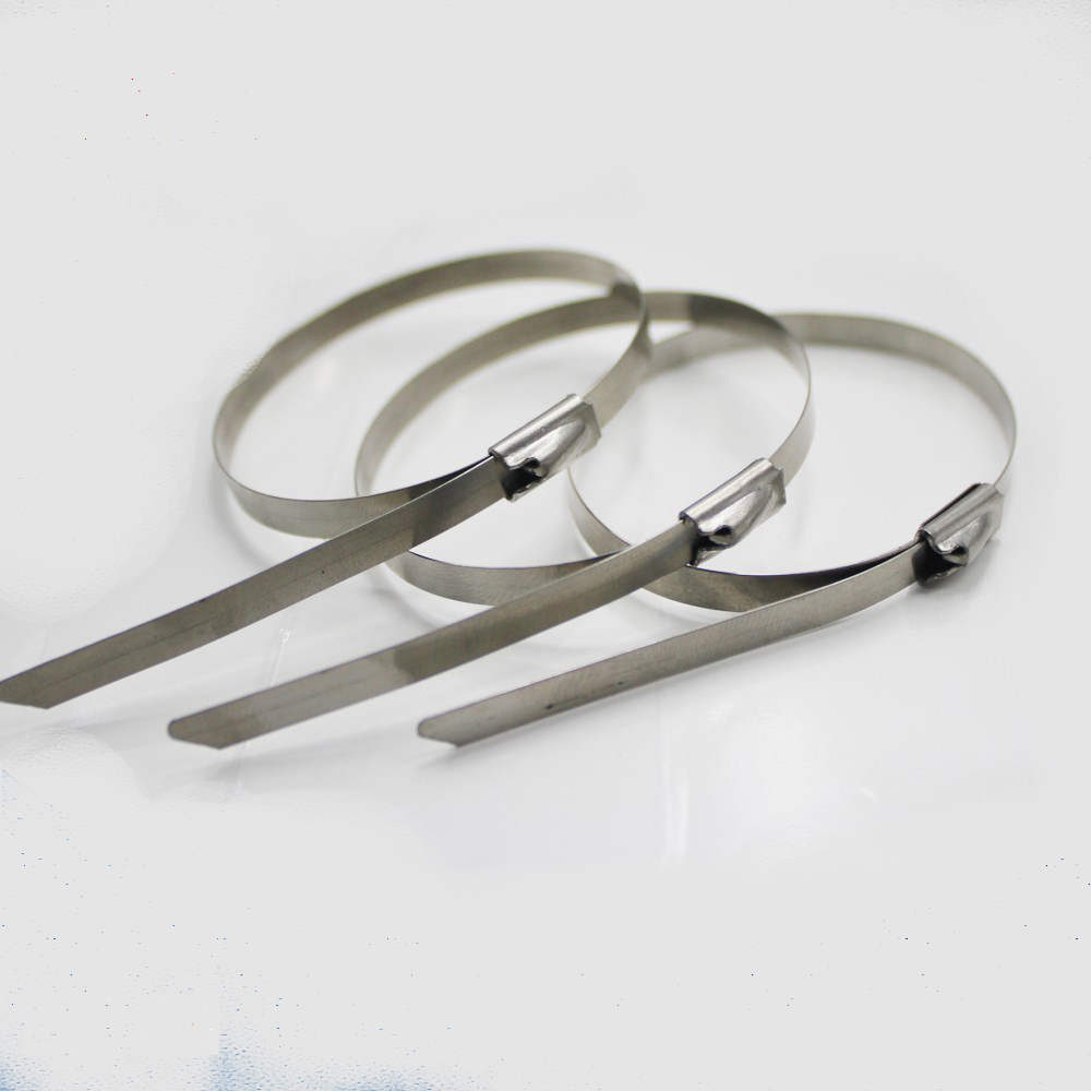 Stainless Steel Cable Pipe Tie Hoop Clamp